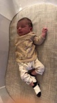 All Dressed