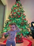 Treed